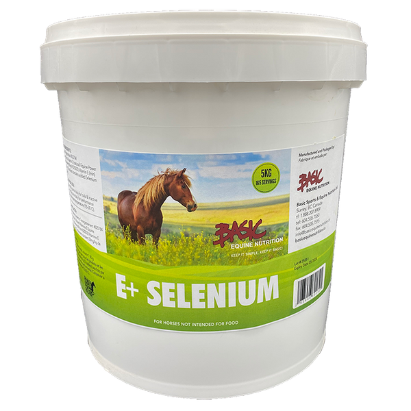 Basic Equine Nutrition - E+Selenium 5kg - 1 Left