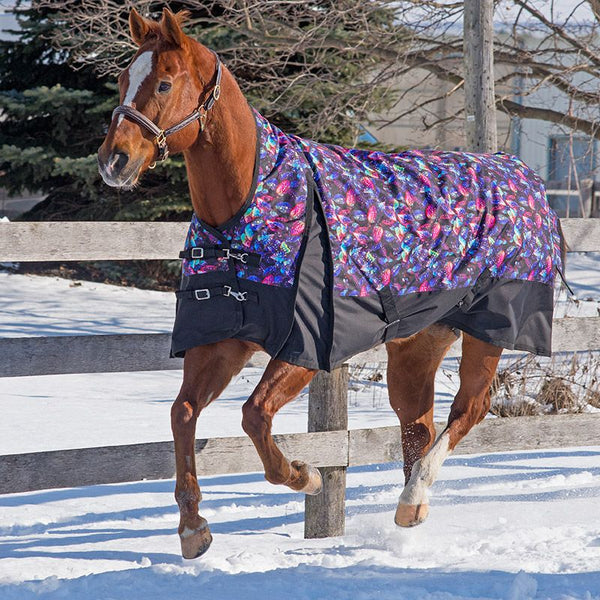 Canadian Horsewear Dreamcoat Rainsheet 50gm - 75"