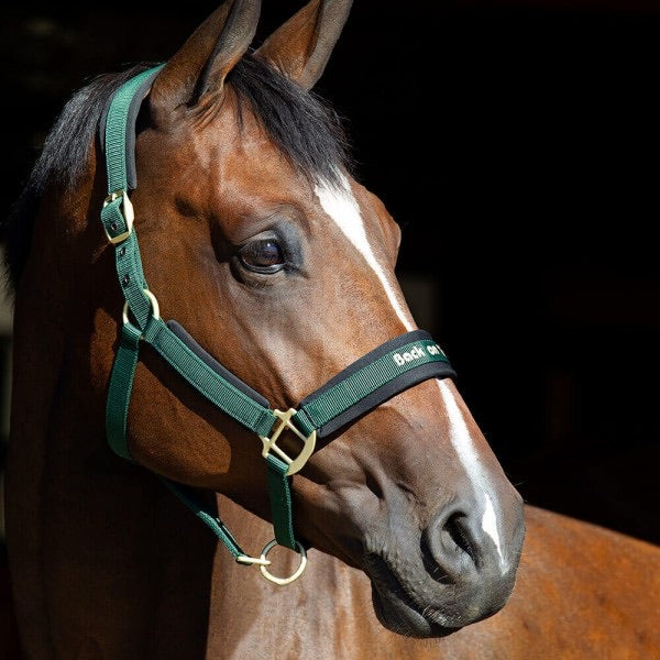 Back on Track PP Werano Halter - Selkirk Mountain Tack